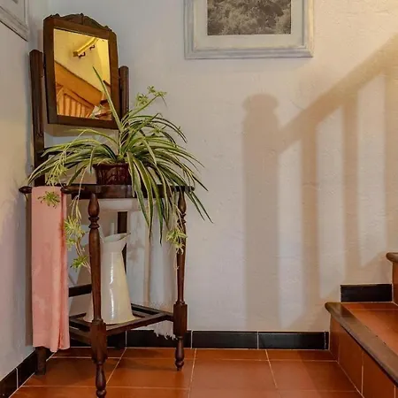Villa Suari *